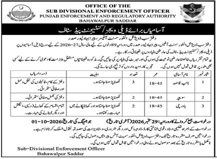 Punjab Enforcement and Regulatory Authority PERA Jobs 2026