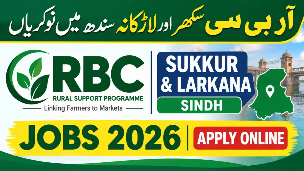 RBC Sukkur And Larkana Sindh Jobs 2026 Apply Online
